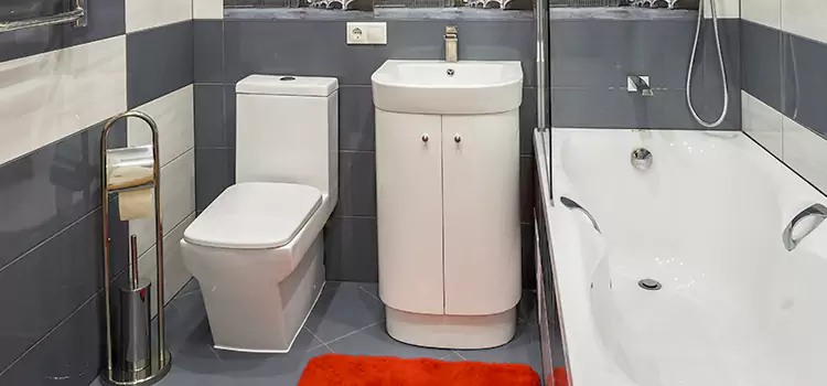 Hansgrohe Shaving Mirror New Britain